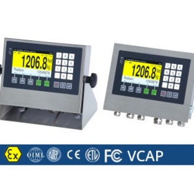 Systec  Weighing Systems